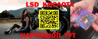 метадон Аргун