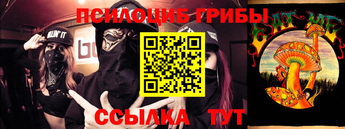 Псилоцибиновые грибы Cubensis Брянск