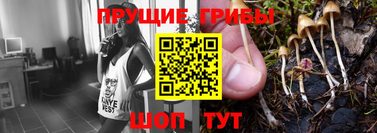 Псилоцибиновые грибы GOLDEN TEACHER  Вход с VPN  Брянск  Галлюциногенные грибы мицелий 