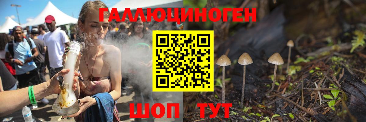 Псилоцибиновые грибы прущие грибы  Брянск  Псилоцибиновые грибы Psilocybe 